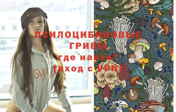 2c-b Лихославль