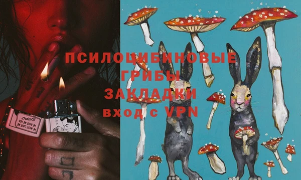 2c-b Лихославль