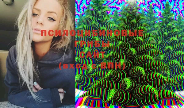 таблы Лиски
