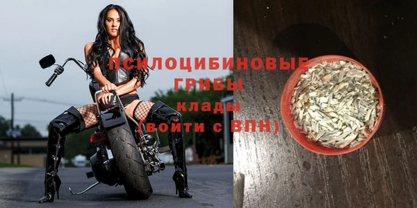 таблы Лиски