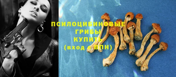таблы Лиски