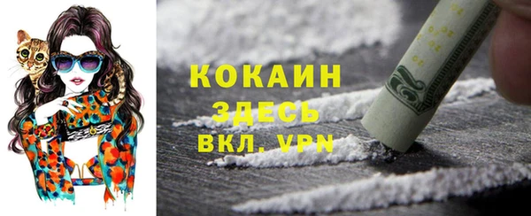 таблы Лиски